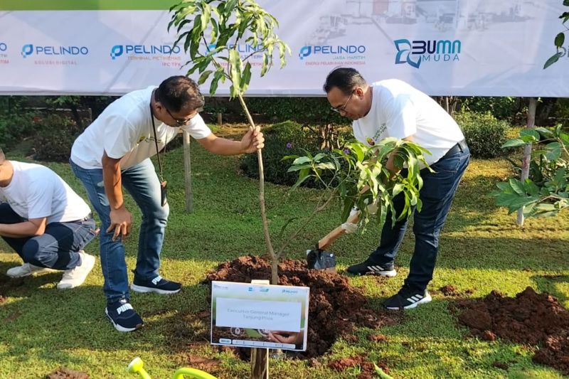 General Manager Pelindo Regional 2 Tanjung Priok Adi Sugiri (kanan) bersama Asisten Perekonomian dan Pembangunan Kota Jakarta Utara Wawan Budi Rohman (kiri) menanam bibit pohon mangga di sekitar Pelabuhan Tanjung Priok, Jakarta Utara, Sabtu (16/9/2023). Aksi menanam pohon itu sebagai upaya untuk mengurangi dampak krisis ekologi akibat penipisan lapisan ozon. (foto:gemapos/ant/pelindo)